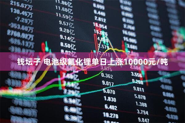 钱坛子 电池级氟化锂单日上涨10000元/吨